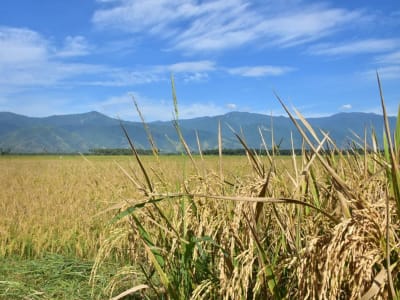 Ancaman Kiamat 2026 dan Perubahan Iklim Ekstrem di Asia: Apa yang Harus Dilakukan?