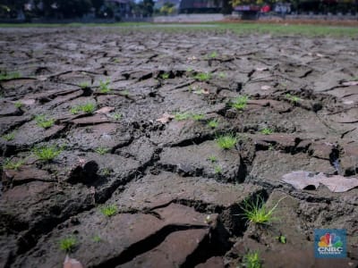 Musim Kemarau 2025 Diprediksi Normal, Petani Diminta Siap Adaptasi