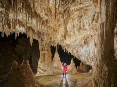 Temuan Gua Karst Langka Berusia 480 Juta Tahun yang Perlu Segera Dilindungi