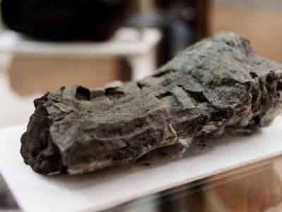 AI dan Sinar-X Ungkap Rahasia Gulungan Kuno Herculaneum