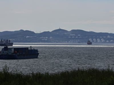 Harga Minyak Turun Karena OPEC+ Mau Tambah Produksi dan AS Bisa Turunkan Tarif Impor China