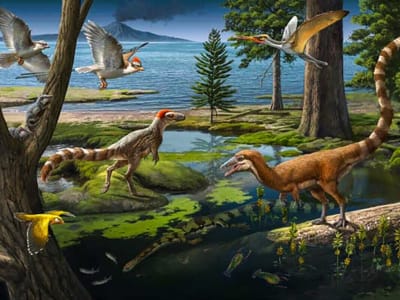 Fosil Baru Ungkap Hubungan Predator-Mangsa Unik Antara Dinosaurus dan Mamalia