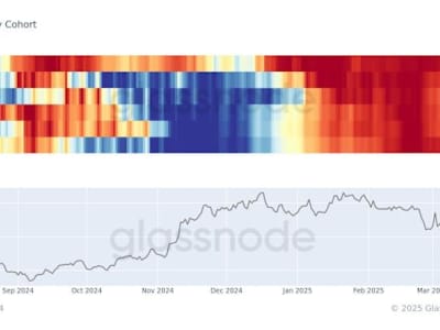 Whales Percepat Recovery Harga Bitcoin ke Rp 1.55 juta ($94.000) Lewat Akumulasi Besar