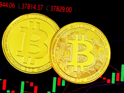 ARK Invest Prediksi Harga Bitcoin Bisa Capai Rp 39.47 miliar ($2,4 Juta)  di 2030