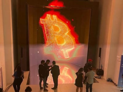 Bitcoin Naik Pesat Didukung Institusi dan Peluang Baru di Dunia Web3