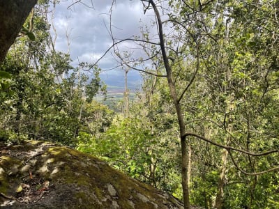 Ulat Karnivora 'Bone Collector' Menggunakan Tubuh Serangga untuk Bertahan Hidup di Hawaii