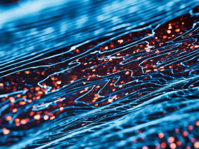 Rahasia Pola Interferensi Cahaya Terkuak Lewat Keadaan Kuantum Bright dan Dark