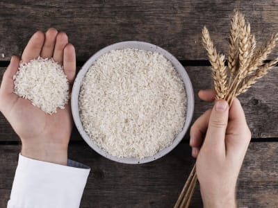 Pemanasan Global Memperparah Risiko Penyakit dari Makanan yang Terinfeksi Bakteri