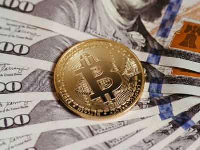 Perusahaan dan Pemerintah Dorong Bitcoin Jadi Mata Uang Cadangan Masa Depan