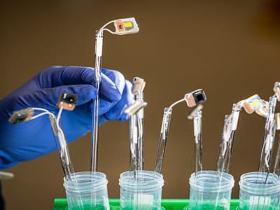 Penemuan Daun Buatan Pengubah Karbon Dioksida Jadi Bahan Bakar Ramah Lingkungan