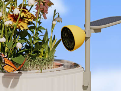 Petal dan Wonder Blocks: Kamera AI Canggih Mendekatkan Kita dengan Alam