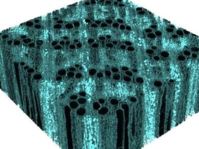 Menguatkan Kayu dengan Nano-Besi untuk Bangunan Ramah Lingkungan