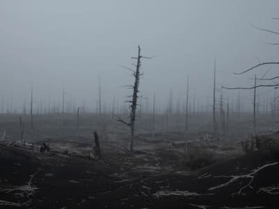 Viant Technology Bisa Maksimalkan Nilai Saham dengan Investasi Bitcoin