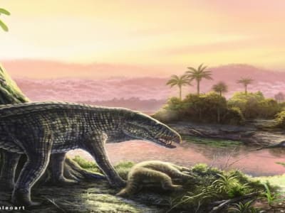 Penemuan Buaya Darat Besar di Karibia Ubah Sejarah Paleontologi