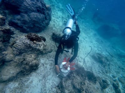 Telkom Indonesia Luncurkan Program Konservasi Lingkungan Rayakan Hari Bumi