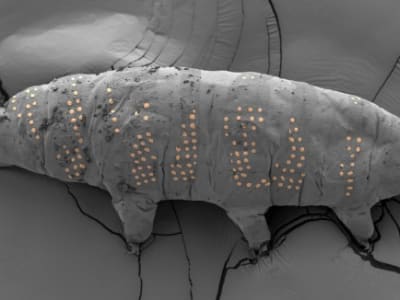 Memahami Artificial Intelligence: Manfaat, Tantangan, dan Masa Depan Teknologi