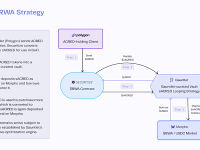 Securitize dan Gauntlet Bawa Dana Kredit Apollo ke Dunia DeFi dengan Strategi Leverage