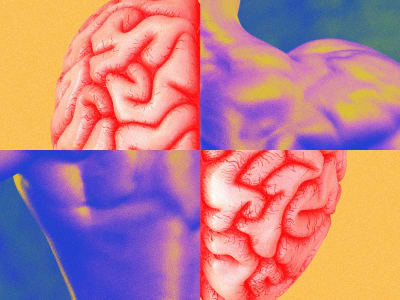 Memahami Memori Epigenetik Otot: Rahasia Cepat Pulih dan Tumbuh Otot Setelah Latihan