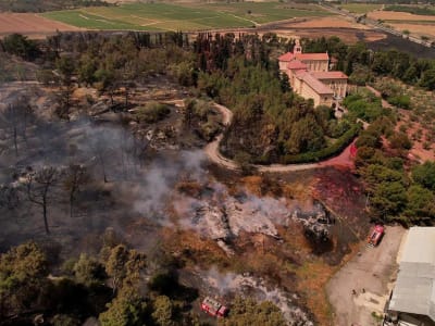 Kebakaran Hutan Terbesar di Israel dan Badai Pasir: Tanda Serius Krisis Iklim