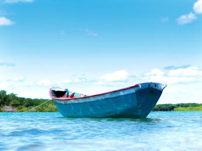 Tragedi Kapal Panga Terbalik di San Diego: Tewas dan Hilangnya Puluhan Penumpang