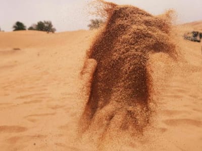 Perusahaan Bitcoin Publik Bisa Dorong Harga BTC Melonjak Besar-besaran