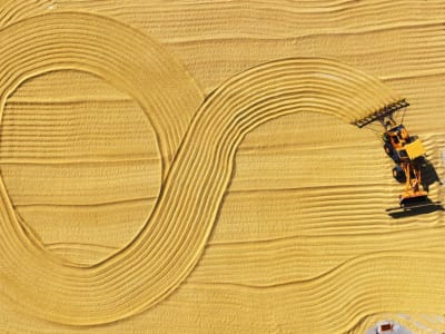 Rahasia Genetik Akar Padi Ungkap Cara Baru Tanggulangi Kekeringan