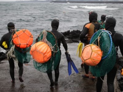 Pengaruh Tradisi Haenyeo dalam Bentuk Genetika dan Fisiologi Wanita Penyulam Jeju