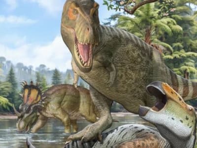 Asal Usul Tyrannosaurus Rex: Nenek Moyang Berasal dari Asia, Bukan Amerika