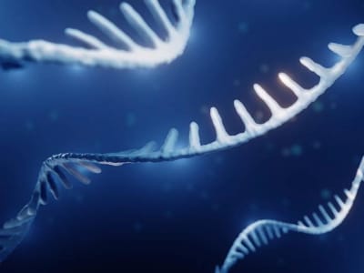 Terobosan Obat Baru Targetkan RNA ‘Sampah’ untuk Atasi Penyakit Jantung