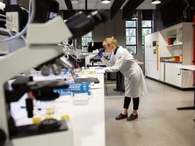 Manfaat Pembaruan Dana NIH: Dorong Ilmuwan AS Ciptakan Riset Inovatif