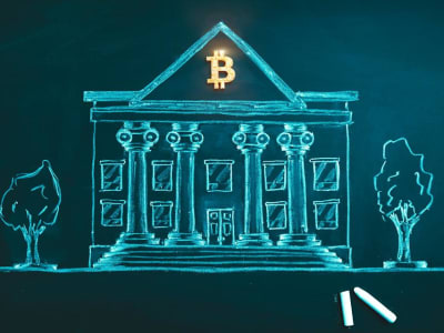 Perusahaan yang Hanya Berinvestasi di Bitcoin: Untung dan Risiko untuk Investor