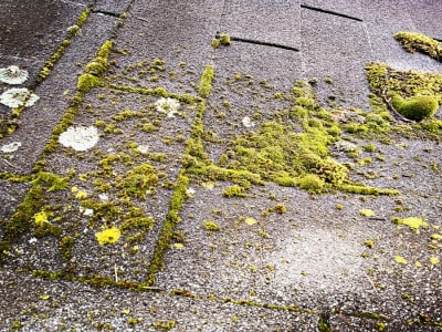 Inovasi Beton Self-Healing Pakai Mikroba, Bisa Perbaiki Retak Sendiri Pakai Cahaya