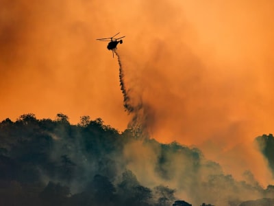 Asap Kebakaran Hutan Karena Perubahan Iklim Sebabkan 15.000 Kematian di AS