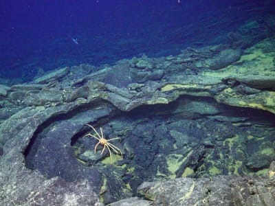 Gunung Api Bawah Laut Axial Seamount di Oregon Siap Meletus Kapan Saja