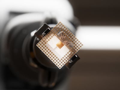 Senator AS Dorong Aturan Ketat Lindungi Chip AI dari Tangan Tiongkok