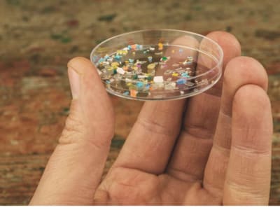 Nanoplastik dari Sampah Plastik Serap Logam Berbahaya Bahayakan Kesehatan