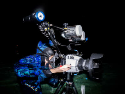 Joseph Ricketts: Menyelami Dunia Bawah Air Florida dan Pentingnya Konservasi