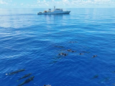 China Ciptakan Simulasi Lautan Paling Akurat Hadapi Tantangan Iklim