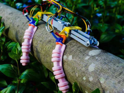 Teknologi Robot Lunak dengan Air dan Panas Ciptakan Gerakan Kuat dan Aman