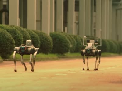 Robot Anjing di Singapura: Inovasi Canggih untuk Keamanan dan Layanan Sosial