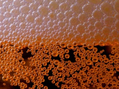 Dari ICON ke SODAX: Transformasi Besar Meniti Era DeFi Tanpa Blockchain Sendiri