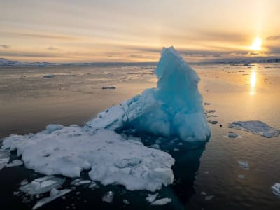 Penelitian Fosil Tiram Ungkap Es Kutub Antartika Ada di Zaman Kapur dan Implikasinya