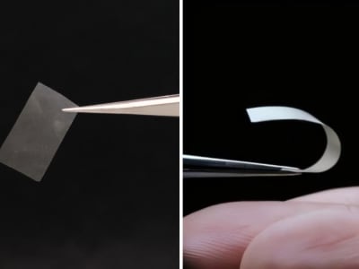 Material Jamur Inovatif Pengganti Plastik Biodegradable Tanpa Kimia