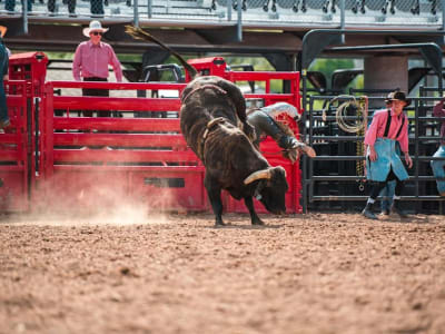 Keberhasilan IPO eToro di Nasdaq dan Proyeksi Pertumbuhan Kripto