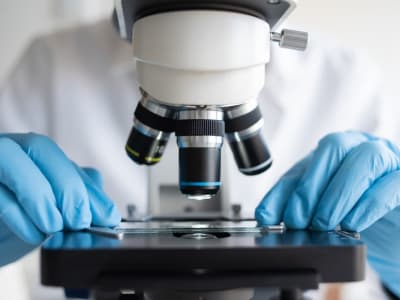 Tiongkok Tawarkan Gaji Besar untuk Tarik Ilmuwan Tionghoa di AS Kembali