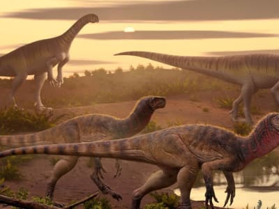 Penemuan Maleriraptor Kuttyi Ungkap Dinosaurus Pemangsa Awal di India