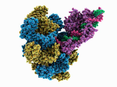 Teknologi Baru evoCAST Memungkinkan Penyisipan Gen Utuh Tanpa Merusak DNA