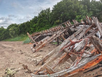 Anak Kanada Temukan Reruntuhan Kapal Abad ke-19 dengan Detektor Logam