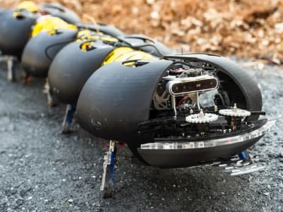 Robot Kelabang Pintar: Solusi Murah untuk Automasi Pertanian Sulit