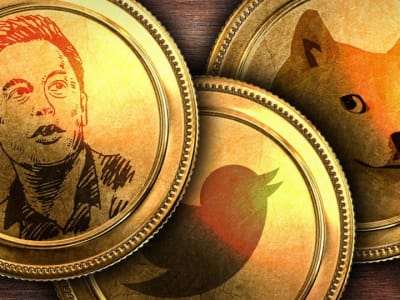 Lonjakan Harga DOGE Meme Coin dan Tantangan Departemen Efisiensi Pemerintahan Elon Musk